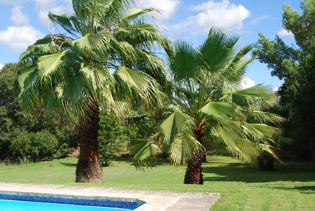 Finca Son Vivot Exteriér fotografie