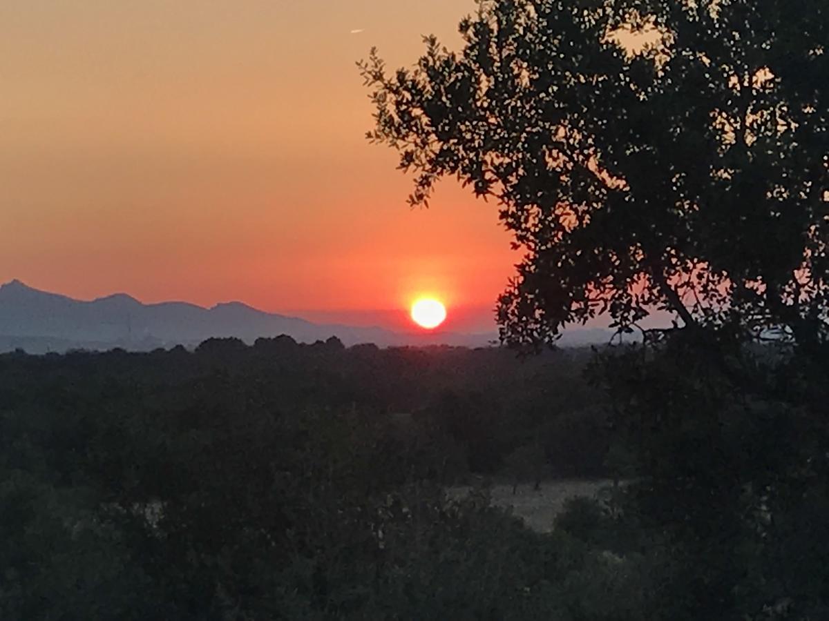 Finca Son Vivot Exteriér fotografie